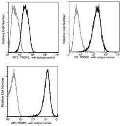 Invitrogen TROP2 Recombinant Rabbit Monoclonal Antibody (001), PE 100 Tests;