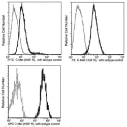 Invitrogen c-Met Recombinant Rabbit Monoclonal Antibody (243), PE 100 Tests | Buy Online | Invitrogen&trade; | Fisher Scientific