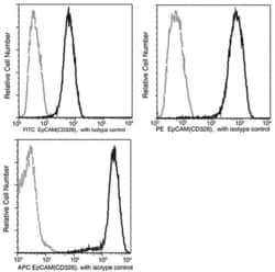 Invitrogen EpCAM Recombinant Rabbit Monoclonal Antibody (028), PE 100 Tests;
