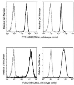Invitrogen CD116 Recombinant Rabbit Monoclonal Antibody (009), PE 100 Tests;