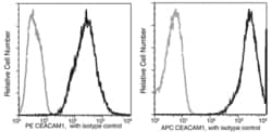 Invitrogen CEACAM1 Recombinant Rabbit Monoclonal Antibody (103), PE 100