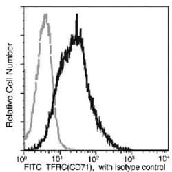 Invitrogen Transferrin Receptor Recombinant Rabbit Monoclonal Antibody