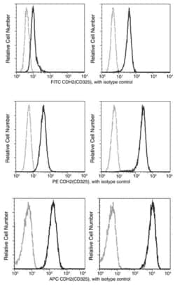 Invitrogen N-cadherin Recombinant Rabbit Monoclonal Antibody (020), FITC