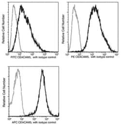 Invitrogen CEA Recombinant Rabbit Monoclonal Antibody (061), PE 100 Tests | Buy Online | Invitrogen&trade; | Fisher Scientific