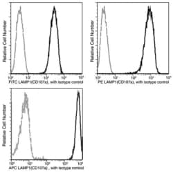 Invitrogen LAMP1 Recombinant Rabbit Monoclonal Antibody (107), PE 100 Tests;