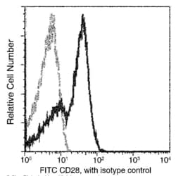Invitrogen CD28 Recombinant Rabbit Monoclonal Antibody (007), FITC 100