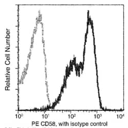 Invitrogen CD58 Recombinant Rabbit Monoclonal Antibody (083), PE 100 Tests;