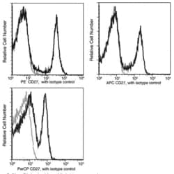 Invitrogen CD27 Recombinant Rabbit Monoclonal Antibody (012), PerCP 100 Tests | Buy Online | Invitrogen&trade; | Fisher Scientific