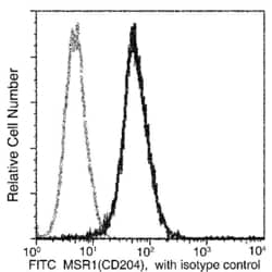 Invitrogen CD204 Recombinant Rabbit Monoclonal Antibody (004), FITC 100
