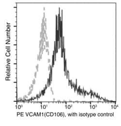 Invitrogen VCAM-1 Recombinant Rabbit Monoclonal Antibody (049), PE 100