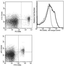 Invitrogen CD226 Recombinant Rabbit Monoclonal Antibody (026), PE 100 Tests;