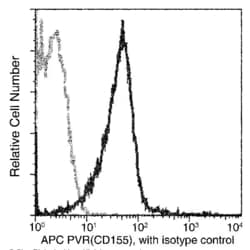 Invitrogen CD155 Recombinant Rabbit Monoclonal Antibody (305), APC 100