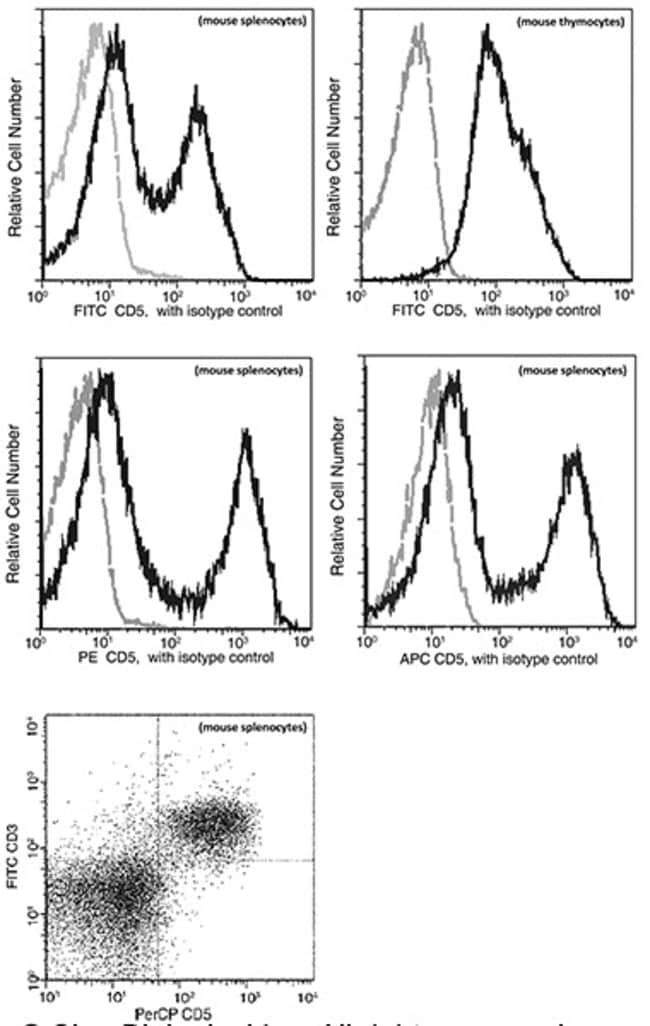 CD5 Rabbit Monoclonal Antibody (114), APC, Invitrogen