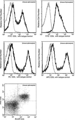 Invitrogen CD5 Recombinant Rabbit Monoclonal Antibody (114), PerCP 100