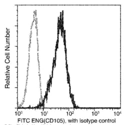 Invitrogen CD105 Recombinant Rabbit Monoclonal Antibody (001), FITC 100