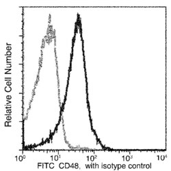 Invitrogen CD48 Recombinant Rabbit Monoclonal Antibody (341), FITC 100