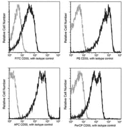 Invitrogen CD55 Recombinant Rabbit Monoclonal Antibody (076), PE 100 Tests | Buy Online | Invitrogen&trade; | Fisher Scientific