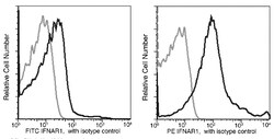 IFNAR1 Recombinant Rabbit Monoclonal Antibody (110), PE, Invitrogen 100