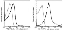 IFNAR1 Recombinant Rabbit Monoclonal Antibody (110), PE, Invitrogen 100