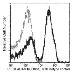 Invitrogen CEACAM1 Recombinant Rabbit Monoclonal Antibody (117), PE 100