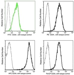 Invitrogen CD34 Recombinant Rabbit Monoclonal Antibody (013), PE 100 Tests | Buy Online | Invitrogen&trade; | Fisher Scientific
