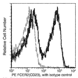 Invitrogen CD23 Recombinant Rabbit Monoclonal Antibody (007), PE 100 Tests | Buy Online | Invitrogen&trade; | Fisher Scientific