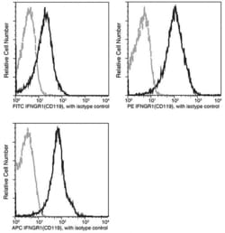 Invitrogen IFNGR1 Recombinant Rabbit Monoclonal Antibody (062), FITC 100