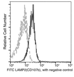 Invitrogen LAMP2 Recombinant Rabbit Monoclonal Antibody (141), FITC 100