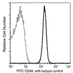 Invitrogen CD48 Recombinant Rabbit Monoclonal Antibody (002), FITC 100