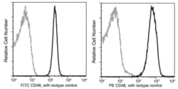 Invitrogen CD48 Recombinant Rabbit Monoclonal Antibody (002), PE 100 Tests;