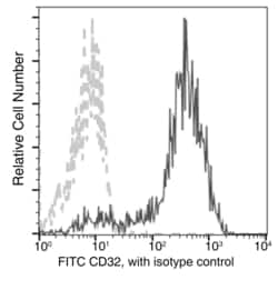 Invitrogen CD32b Recombinant Rabbit Monoclonal Antibody (046), FITC 100