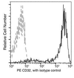 Invitrogen CD32b Recombinant Rabbit Monoclonal Antibody (046), PE 100 Tests;