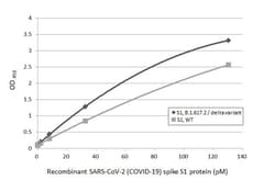 Invitrogen SARS-CoV-2 Spike Protein RBD (strain Wuhan-Hu-1) Recombinant