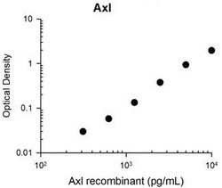Invitrogen AXL Monoclonal Antibody (M047) 100 &mu;L; Unconjugated:Antibodies,