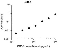 Invitrogen CD55 Monoclonal Antibody (M033) 100 &mu;L; Unconjugated:Antibodies,