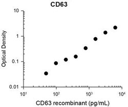 Invitrogen CD63 Monoclonal Antibody (M034) 100 &mu;L; Unconjugated:Antibodies,