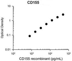 Invitrogen CD155 Monoclonal Antibody (M048) 100 &mu;L; Unconjugated:Antibodies,