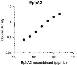 Invitrogen EphA2 Monoclonal Antibody (M088) 100 &mu;L; Unconjugated:Antibodies,