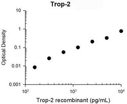 Invitrogen TROP2 Monoclonal Antibody (M005) 100 &mu;L; Unconjugated:Antibodies,