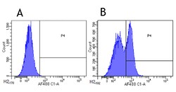Invitrogen CD200R Chimeric Recombinant Rabbit Monoclonal Antibody (OX108)
