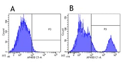 Invitrogen Rituximab Chimeric Recombinant Rabbit Monoclonal Antibody (10F381