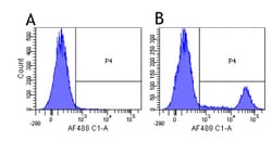 Invitrogen Rituximab Chimeric Recombinant Rabbit Monoclonal Antibody (10F381