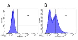 Invitrogen CD34 Chimeric Recombinant Rabbit Monoclonal Antibody (My10)