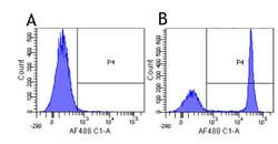 Invitrogen CD4 Chimeric Recombinant Rabbit Monoclonal Antibody (YNB46.1.8