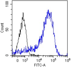 Invitrogen HLA-DR/DP/DQ Chimeric Recombinant Rabbit Monoclonal Antibody