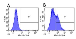 Invitrogen Daclizumab Chimeric Recombinant Rabbit Monoclonal Antibody (Daclizumab)