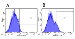 Invitrogen Basiliximab Chimeric Recombinant Rabbit Monoclonal Antibody (Basiliximab) 200 &mu;g | Buy Online | Invitrogen&trade; | Fisher Scientific