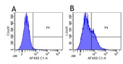 Invitrogen Basiliximab Chimeric Recombinant Rabbit Monoclonal Antibody (Basiliximab) 200 &mu;g | Buy Online | Invitrogen&trade; | Fisher Scientific