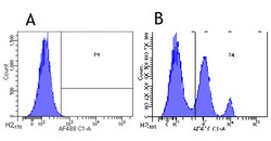 Invitrogen Gemtuzumab Chimeric Recombinant Rabbit Monoclonal Antibody (hP67.6