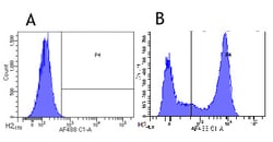 Invitrogen CD32 Chimeric Recombinant Rabbit Monoclonal Antibody (AT10)